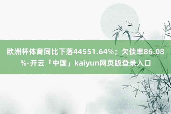 欧洲杯体育同比下落44551.64%；欠债率86.08%-开云「中国」kaiyun网页版登录入口