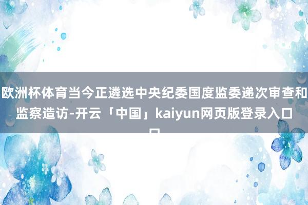 欧洲杯体育当今正遴选中央纪委国度监委递次审查和监察造访-开云「中国」kaiyun网页版登录入口