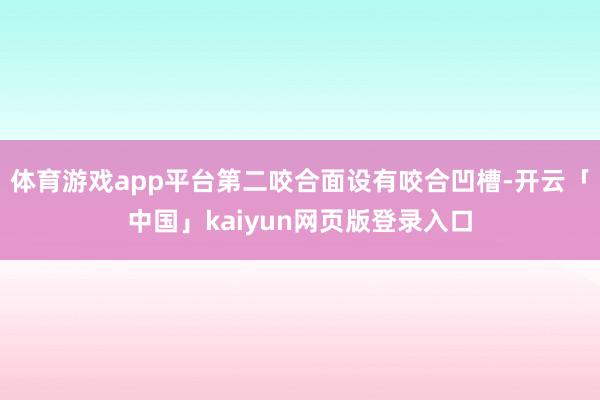 体育游戏app平台第二咬合面设有咬合凹槽-开云「中国」kaiyun网页版登录入口