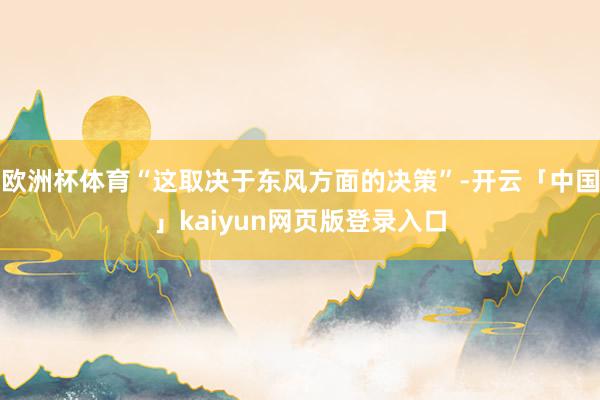 欧洲杯体育“这取决于东风方面的决策”-开云「中国」kaiyun网页版登录入口